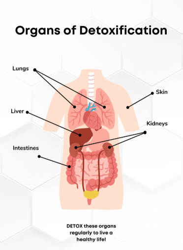 Clinical Evidence 2